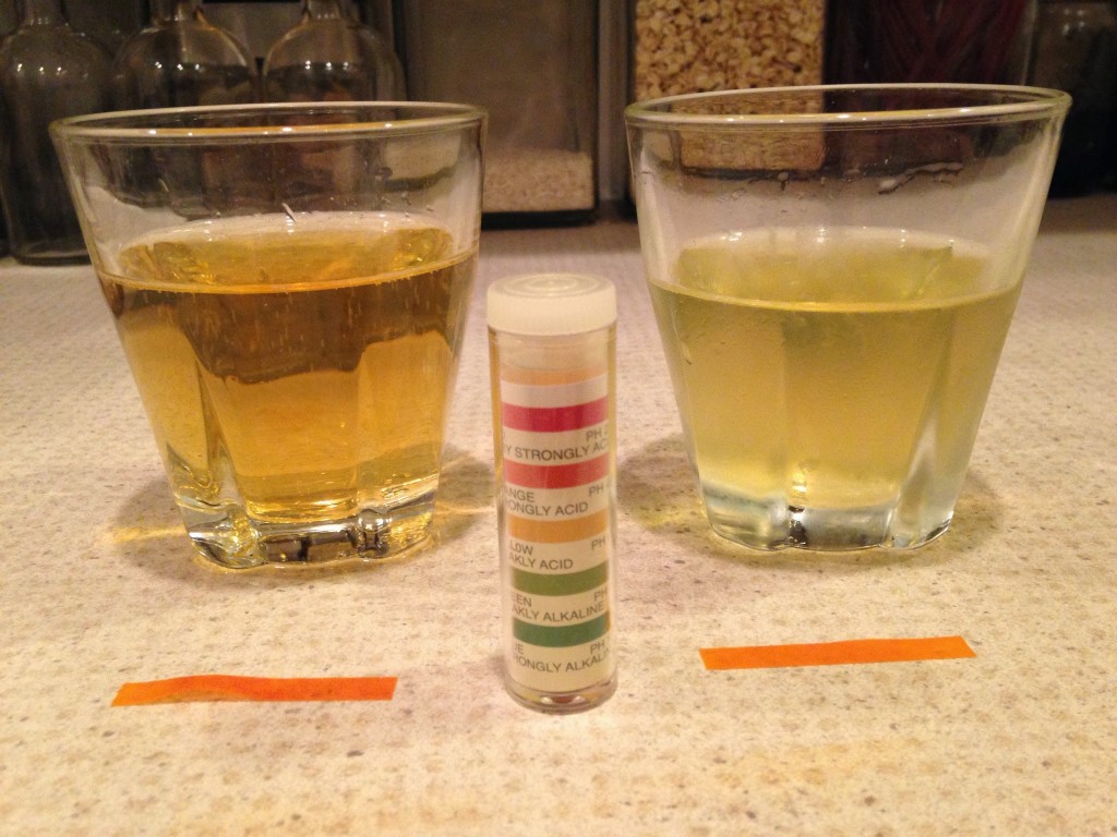 Samuel Smith's (left)  and home brewed Cider (right).